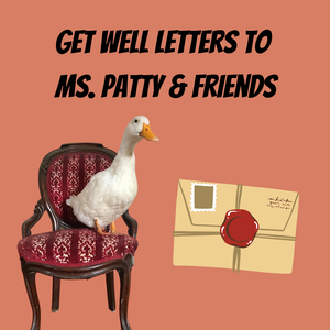 Get Well Letters to 
